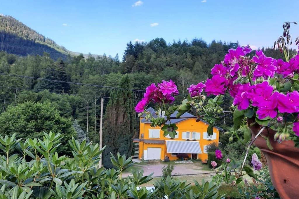 Gite Forestier Du Moulin Raon-sur-Plaine Exterior foto