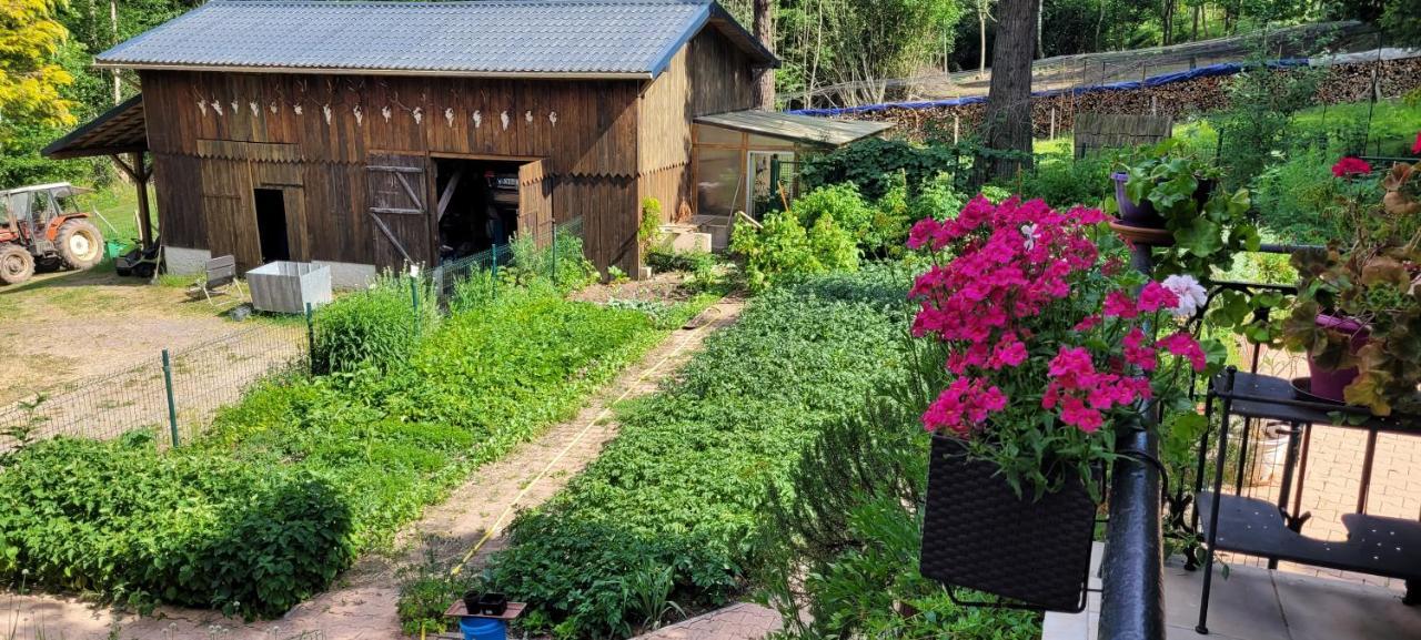 Gite Forestier Du Moulin Raon-sur-Plaine Exterior foto