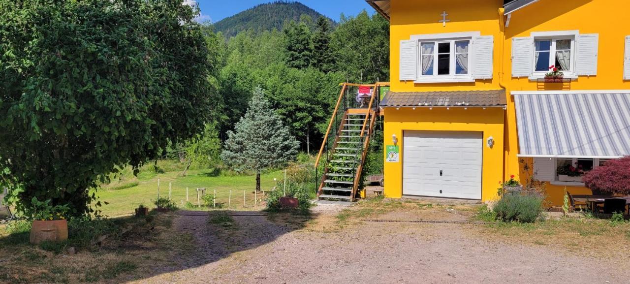 Gite Forestier Du Moulin Raon-sur-Plaine Exterior foto