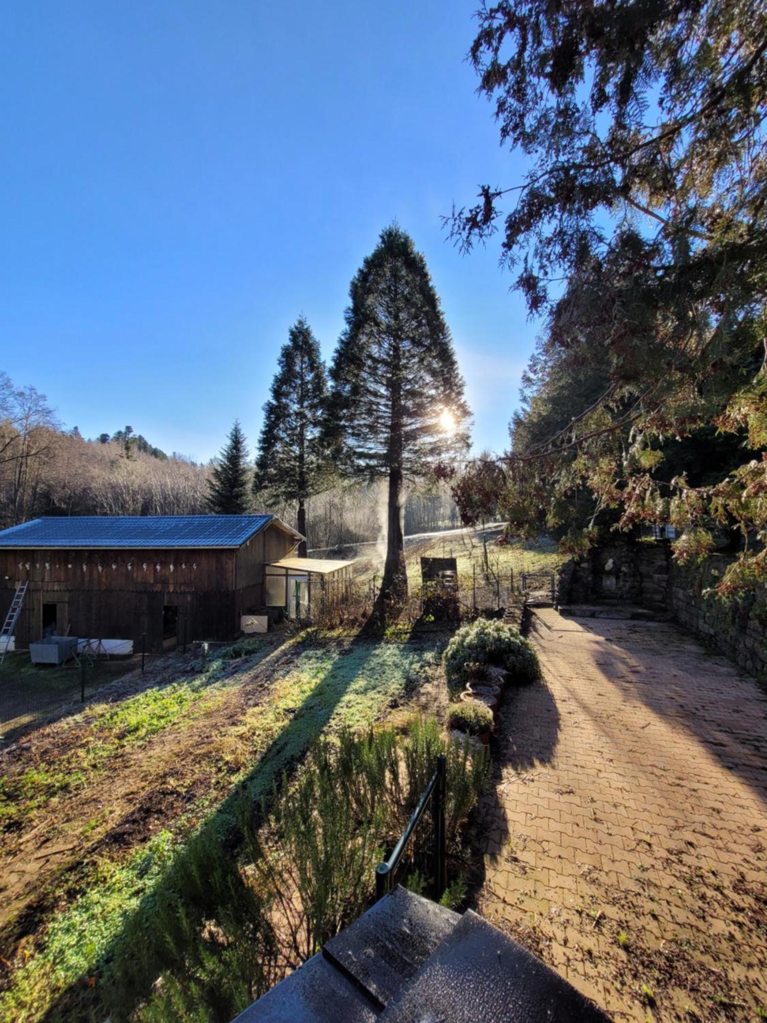 Gite Forestier Du Moulin Raon-sur-Plaine Exterior foto