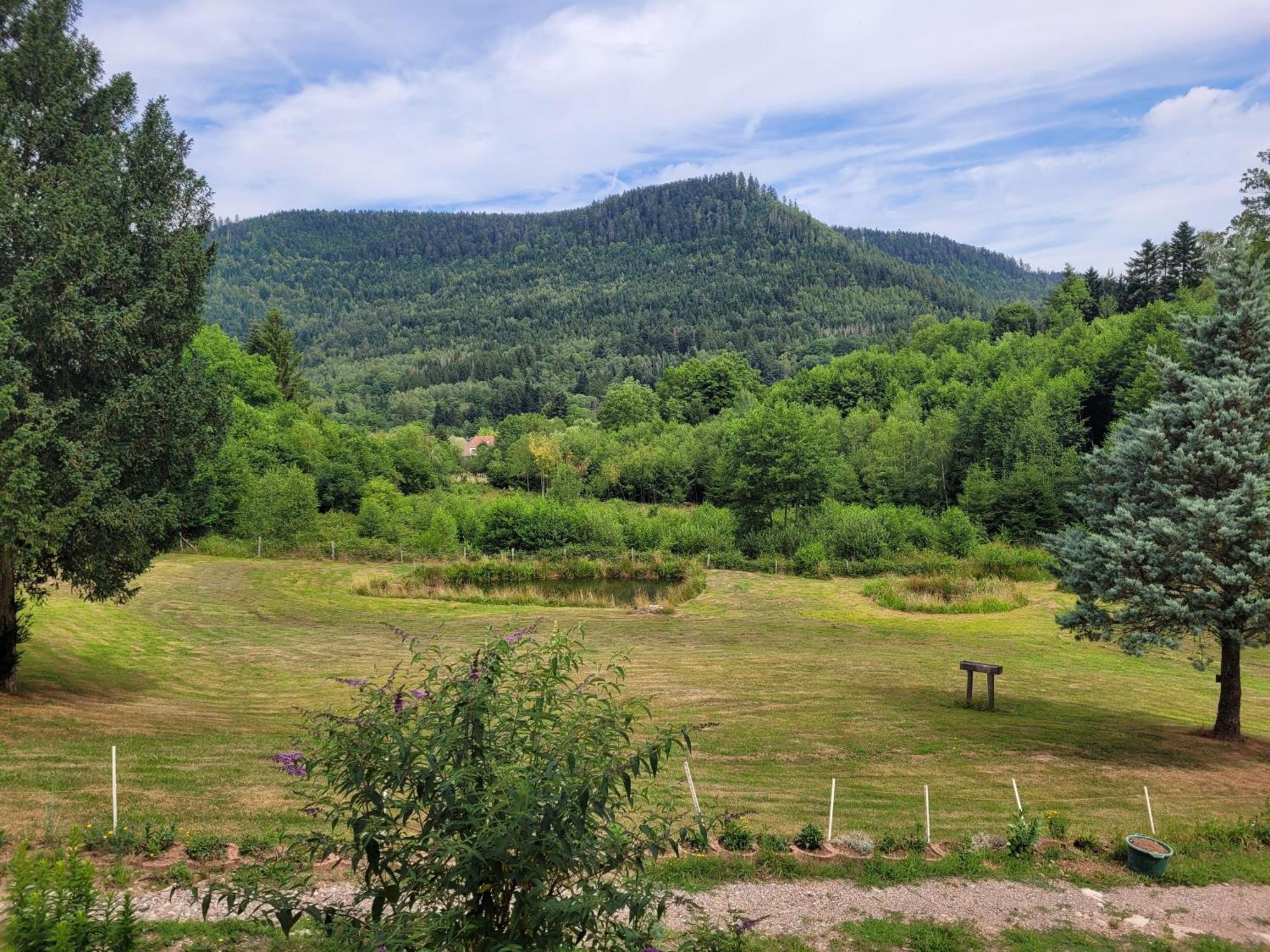 Gite Forestier Du Moulin Raon-sur-Plaine Exterior foto