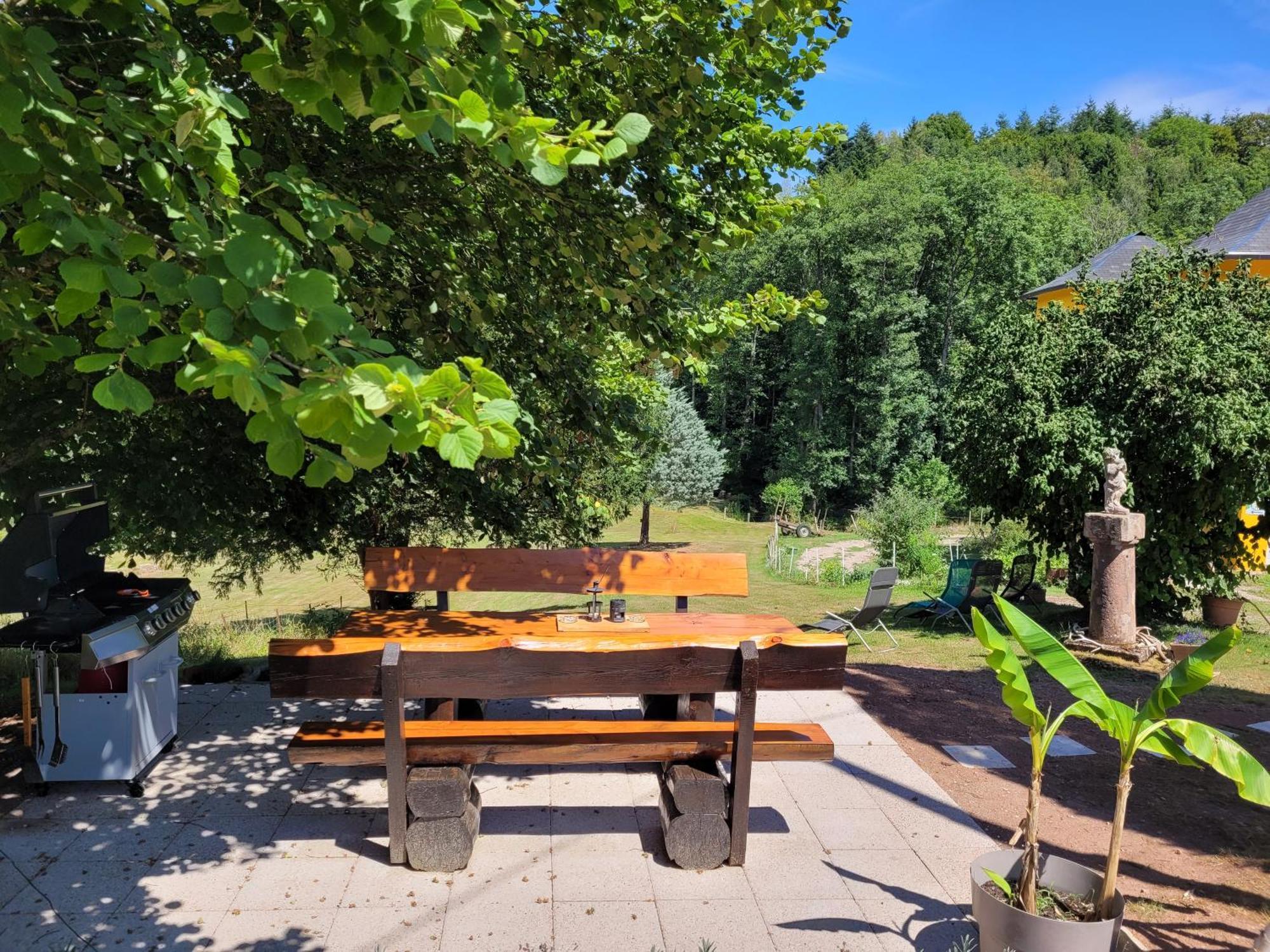 Gite Forestier Du Moulin Raon-sur-Plaine Exterior foto