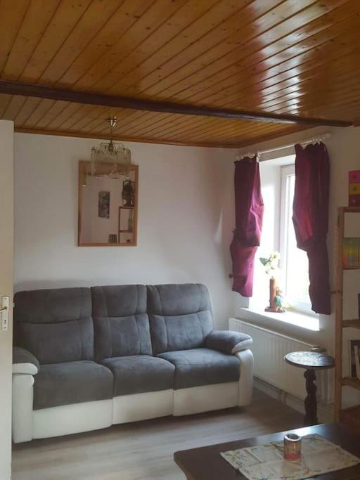 Gite Forestier Du Moulin Raon-sur-Plaine Exterior foto