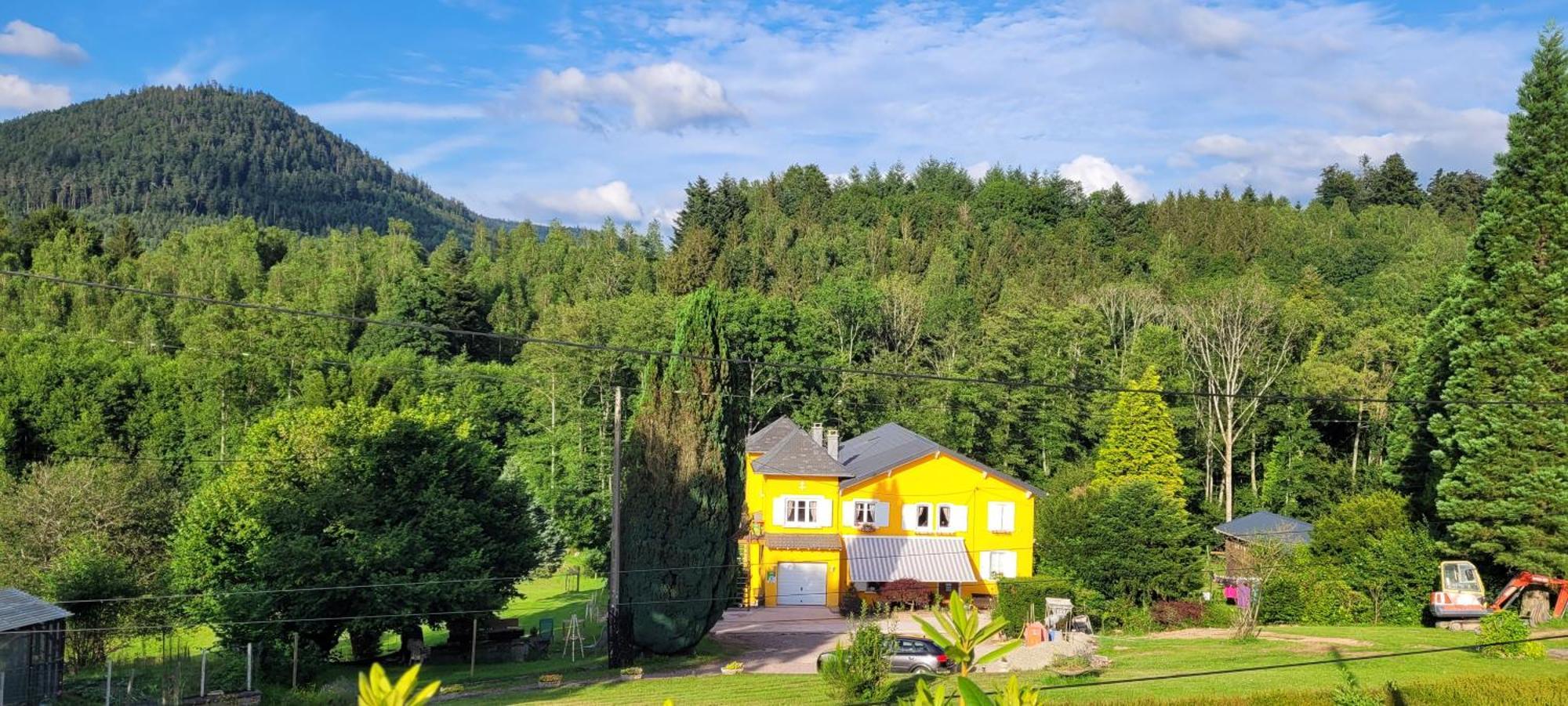 Gite Forestier Du Moulin Raon-sur-Plaine Exterior foto