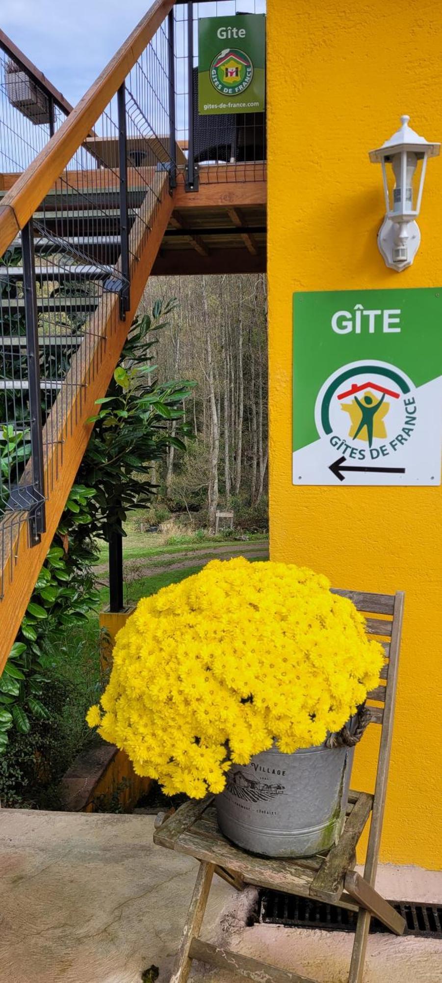 Gite Forestier Du Moulin Raon-sur-Plaine Exterior foto