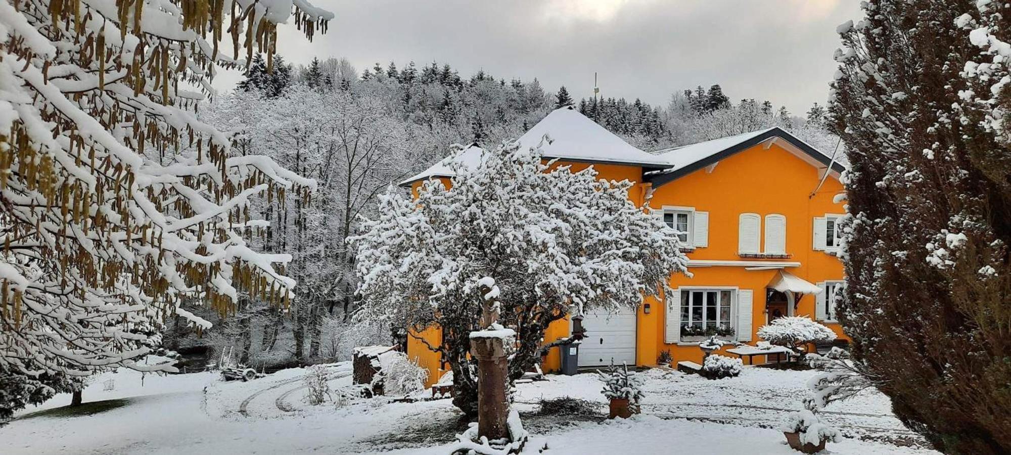 Gite Forestier Du Moulin Raon-sur-Plaine Exterior foto